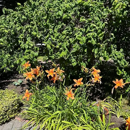 Affittacamere Ratownik